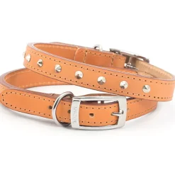 Ancol Pet Products Collars And Leads<Ancol Heritage Leather Stud Collar