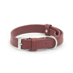Ancol Pet Products Collars And Leads<Ancol Indulgence Folded Collar