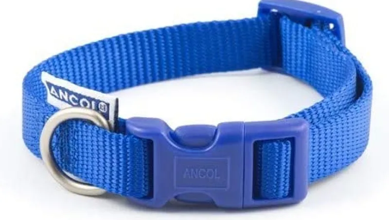 Ancol Pet Products Collars And Leads<Ancol Nylon Adjustable Collar