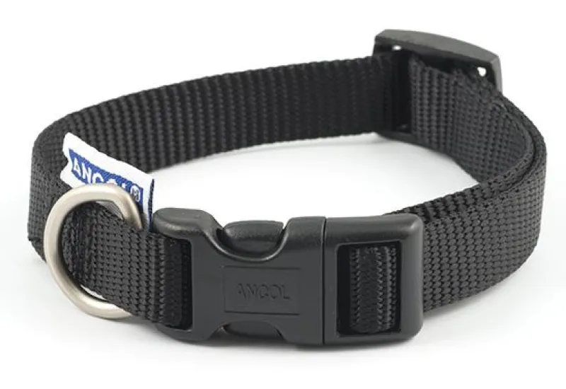 Ancol Pet Products Collars And Leads<Ancol Nylon Adjustable Collar