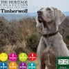 Ancol Pet Products Collars And Leads<Ancol Timberwolf Leather Collar