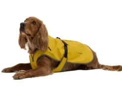 Barbour Dog Coats<Evie Waterproof Dog Coat