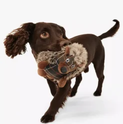 Barbour Dog Toys<Hedgehog Dog Toy