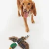 Barbour Dog Toys<Pheasant Dog Toy