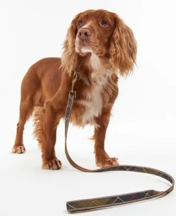 Barbour Collars And Leads<Reflective Dog Lead