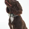 Barbour Collars And Leads<Reflective Tartan Comfort Dog Collar