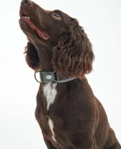 Barbour Collars And Leads<Reflective Tartan Comfort Dog Collar