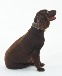Barbour Collars And Leads<Reflective Tartan Comfort Dog Collar
