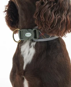 Barbour Collars And Leads<Reflective Tartan Comfort Dog Collar