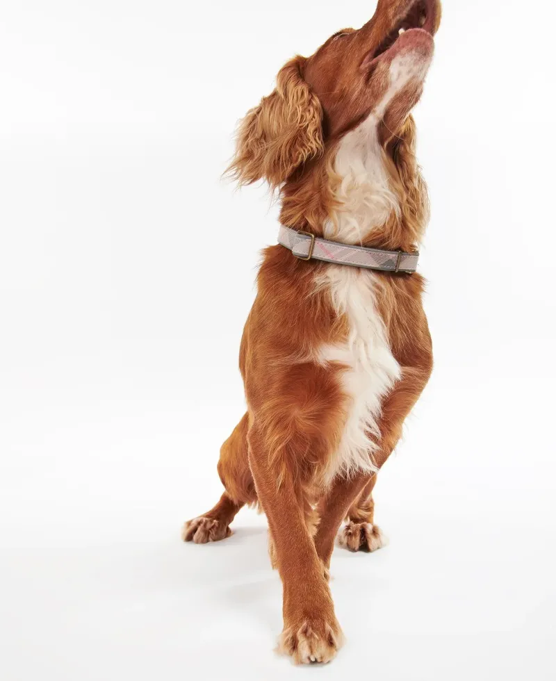 Barbour Collars And Leads<Reflective Tartan Dog Collar