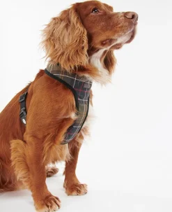 Barbour Dog Harnesses<Tartan Dog Harness