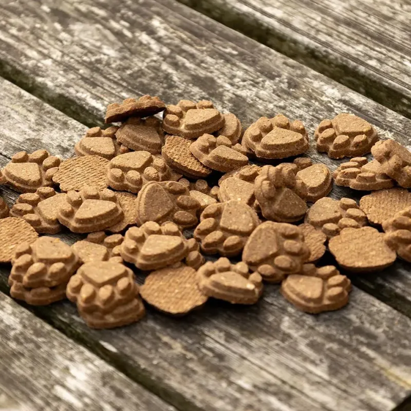 Battle Hayward u0026 Bower Dog Treats|Dog Treats<Benji & Flo Little Paws Gut Guardian Digestive Treats