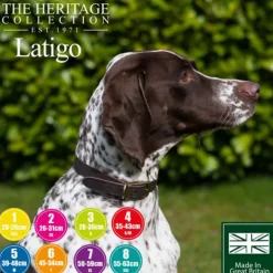 John Rothery Collars And Leads<Bisley Heritage Leather Collar