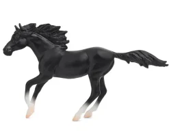 Breyer Toys<Poetry In Motion Gift Set