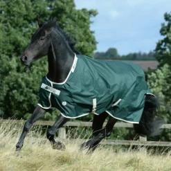 Bucas Turnout Rugs<Greenline 100g Turnout Rug
