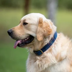 Shires Collars And Leads<Digby & Fox Tweed Dog Collar