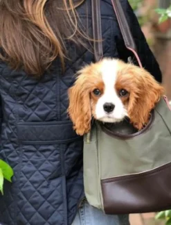 Faire Dog Beds & Blankets|Dog Harnesses<Django Dog Carrier Bag