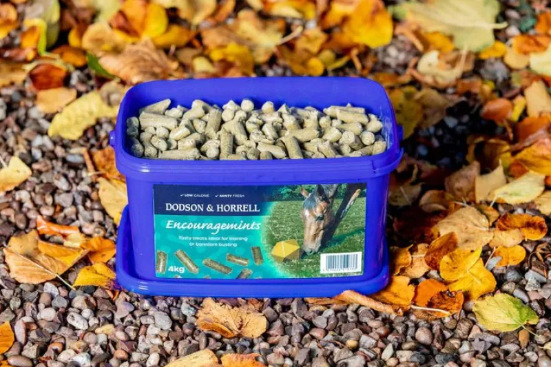 Dodson u0026 Horrell Treats<Dodson & Horrell Encouragemints 4kg