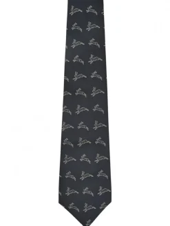 Dubarry of Ireland Ties<Dubarry Lacken Silk Tie