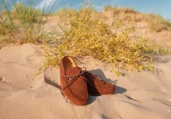 Dubarry of Ireland Men's Shoes<Dubarry Mens Shearwater Loafer