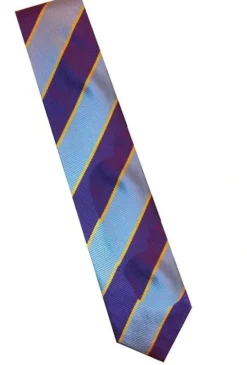 Equetech Ties & Stocks<Pony Club Striped Tie