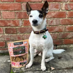 Green u0026 Wild's Dog Treats|Dog Treats<Green & Wild's Cornish Fishcakes - Salmon, Carrot & Turmeric