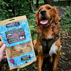 Green u0026 Wild's Dog Treats|Dog Treats<Green & Wild's Cornish Fishcakes - Salmon & Pumpkin Seed