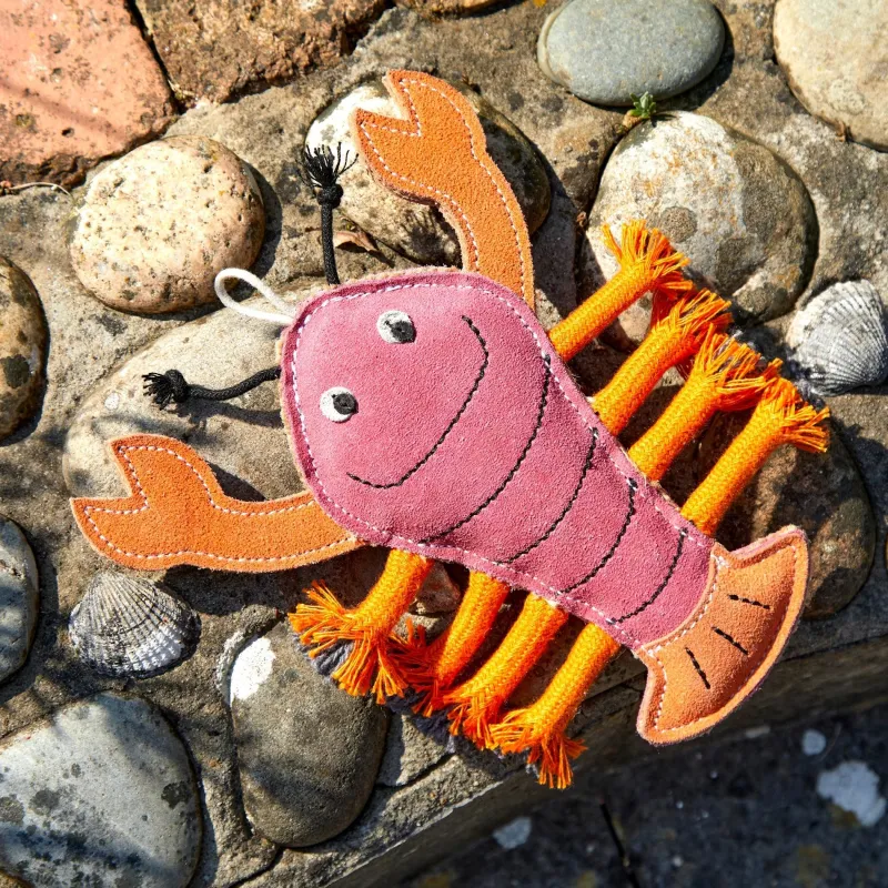 Green u0026 Wild's Dog Toys<Green & Wild's Larry The Lobster Eco Dog Toy