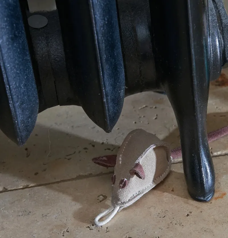 Green u0026 Wild's Dog Toys<Green & Wild's Mike the Mouse Eco Dog Toy