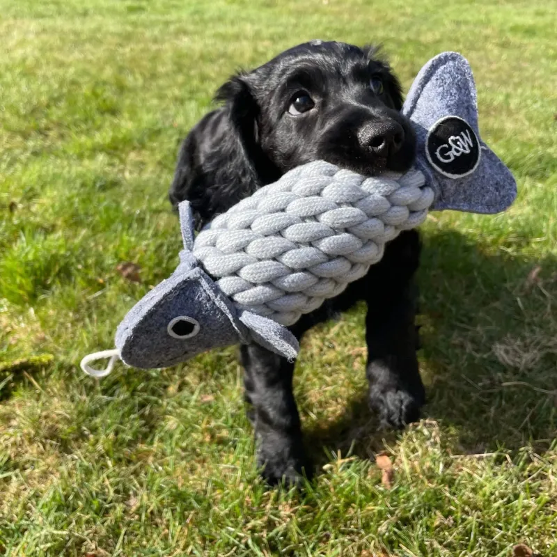 Green u0026 Wild's Dog Toys<Green & Wild's Roger the Ropefish Eco Dog Toy