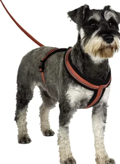 Trilanco Dog Harnesses<Halti Comfy Dog Harness