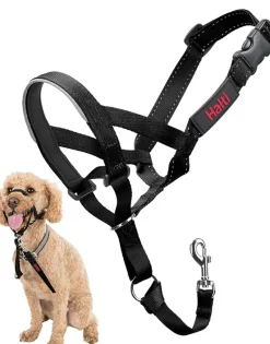 Trilanco Dog Harnesses<Halti Dog Headcollar