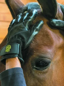 LeMieux Gloves|Gloves<HandsOn Glove