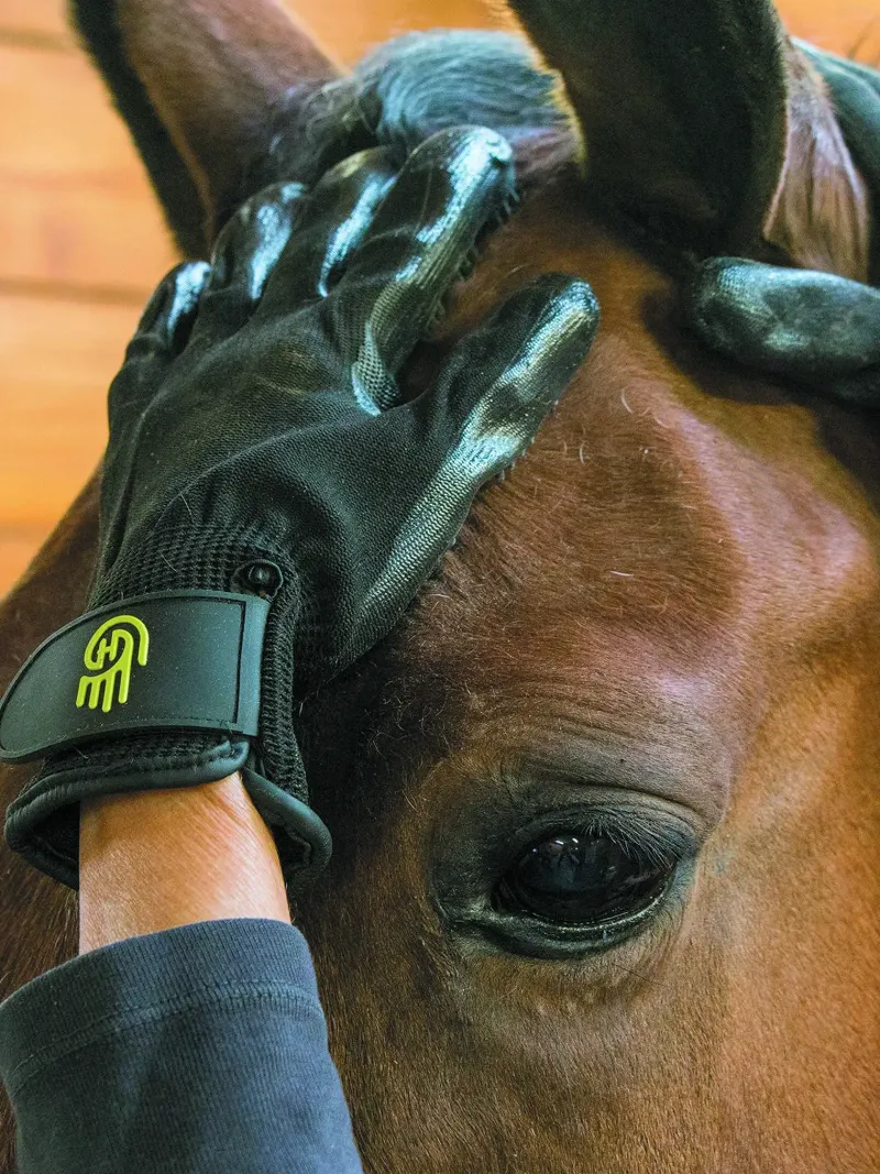 LeMieux Gloves|Gloves<HandsOn Glove