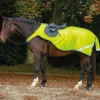 Horseware Exercise Sheets<Amigo Reflective Competition Sheet