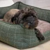 Battle Hayward u0026 Bower Dog Beds & Blankets<House of Paws Moss Tweed Rectangle Bed