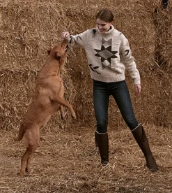 Hunt u0026 Hall Sweaters & Jumpers|Sweaters & Jumpers<Hunt & Hall The Grafton Sweater