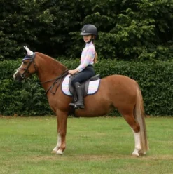 Battles Saddlepads & Numnahs<HY Dazzling Dream Saddle Pad