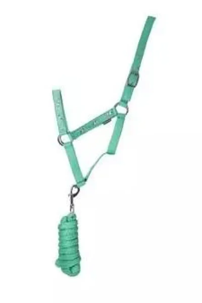 HY Head Collars<Equestrian Competition Ready Head Collar and Lead Rope