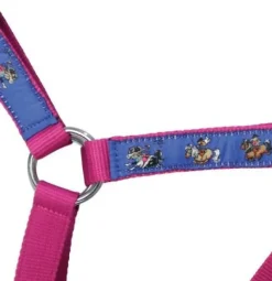 Hy equestrian Horse Wear Accessories|Head Collars<Thelwell Collection Race Head Collar and Lead Rope