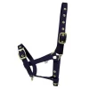 Hy equestrian Head Collars<HY Foal Headcollar