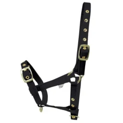 Hy equestrian Head Collars<HY Foal Headcollar