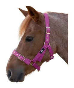 Country Ways Head Collars<Hy Holly Fully Adjustable Head Collar