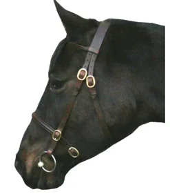 IV Horse Bridles<In Hand Bridle