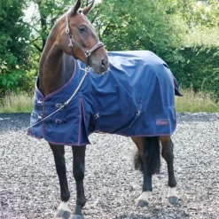 John Whitaker Turnout Rugs<Rastrick 200g Turnout Rug