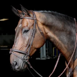 John Whitaker Bridles<Ready to Ride Snaffle Bridle