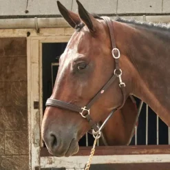 John Whitaker Head Collars<Ready to Ride Headcollar