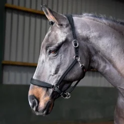 John Whitaker Head Collars<Ready to Ride Headcollar