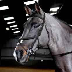 John Whitaker Bridles<Ready to Ride Mexican Bridle