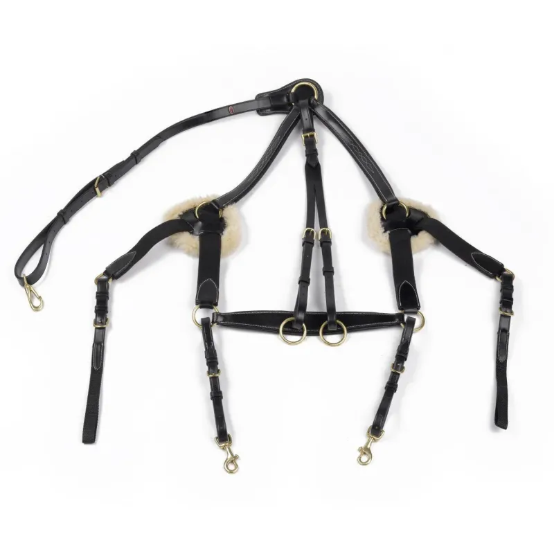 John Whitaker Breast Plates<Valencia 5 Point Breastplate